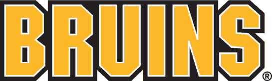 Boston Bruins 1995-2007 Wordmark Logo t shirts DIY iron ons